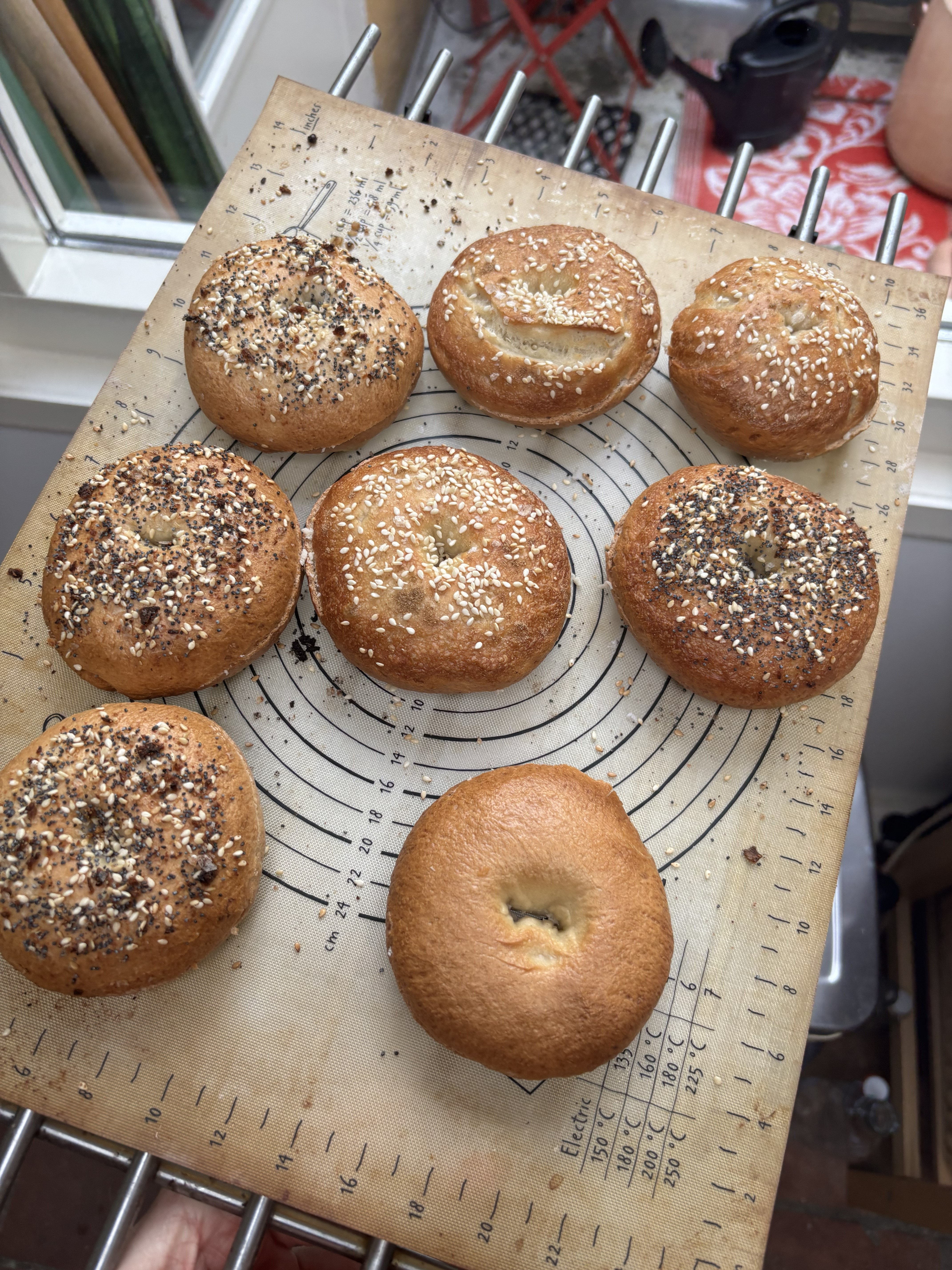 New York Style Bagels